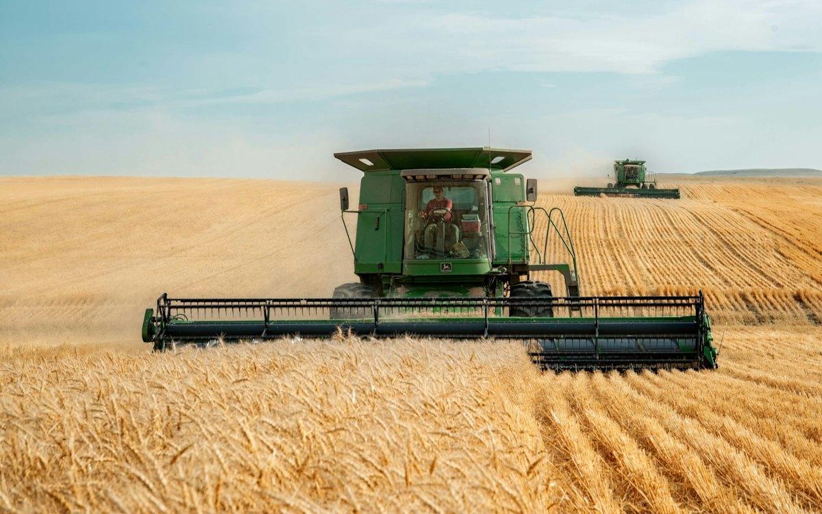 Agronegócio e agroindústria — benefícios e recuperação tributária